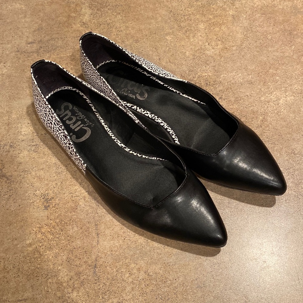 Womens Circus by Sam Edelman shoes size 7.5 - Picture 1 of 8